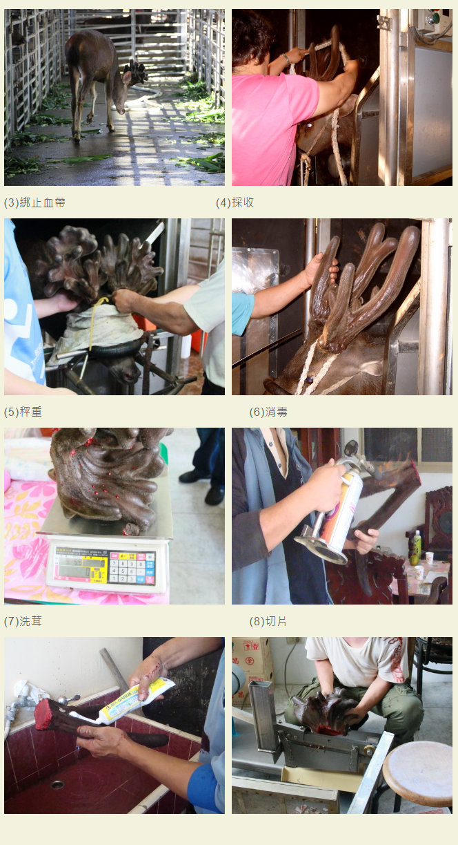 QQ截图20231231093802.png